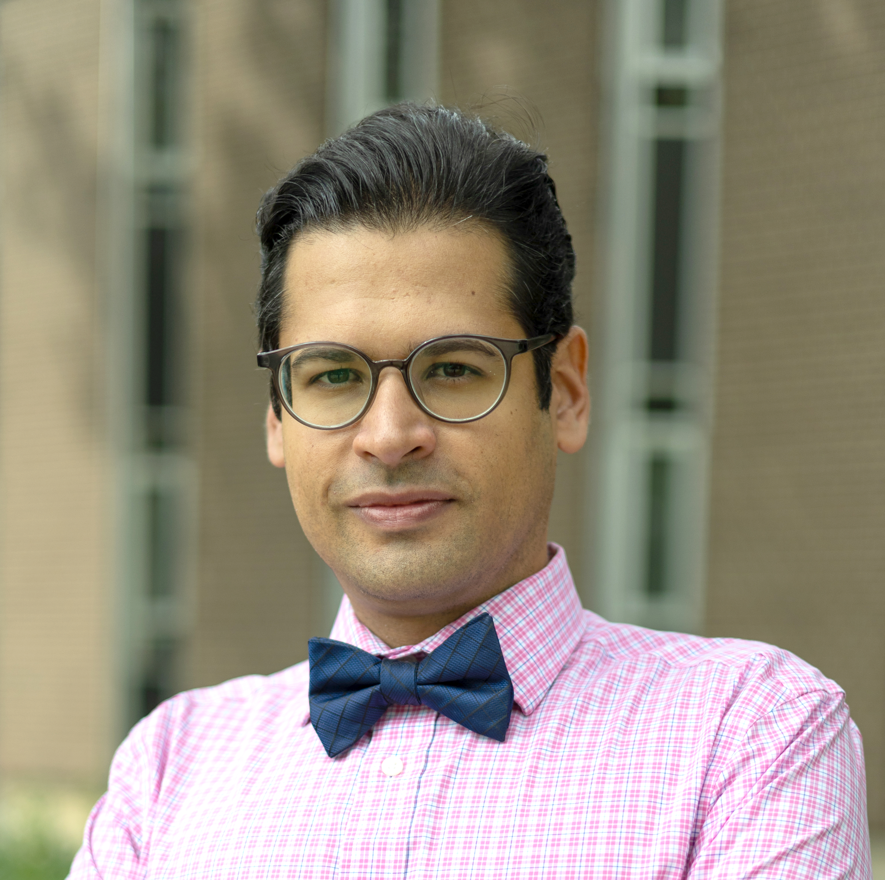 amir_pic_portrait.jpg
